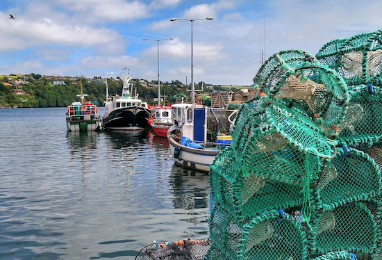 Iniciada temporada de pesca da lagosta e Ceará lidera exportações