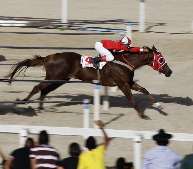 V GP e 6° Leilão Fortaleza Quarter Horse chacoalham o Jockey Club