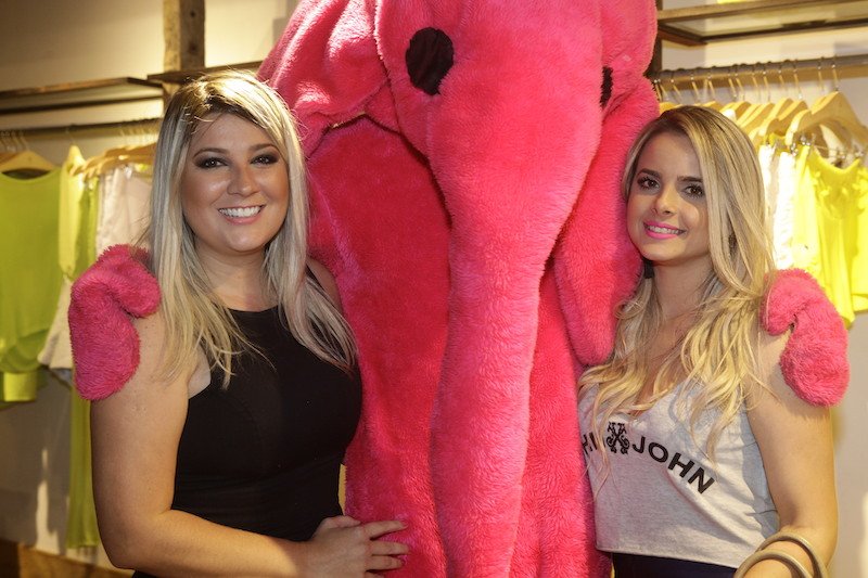 Mr. Pink Elephant agita a cidade