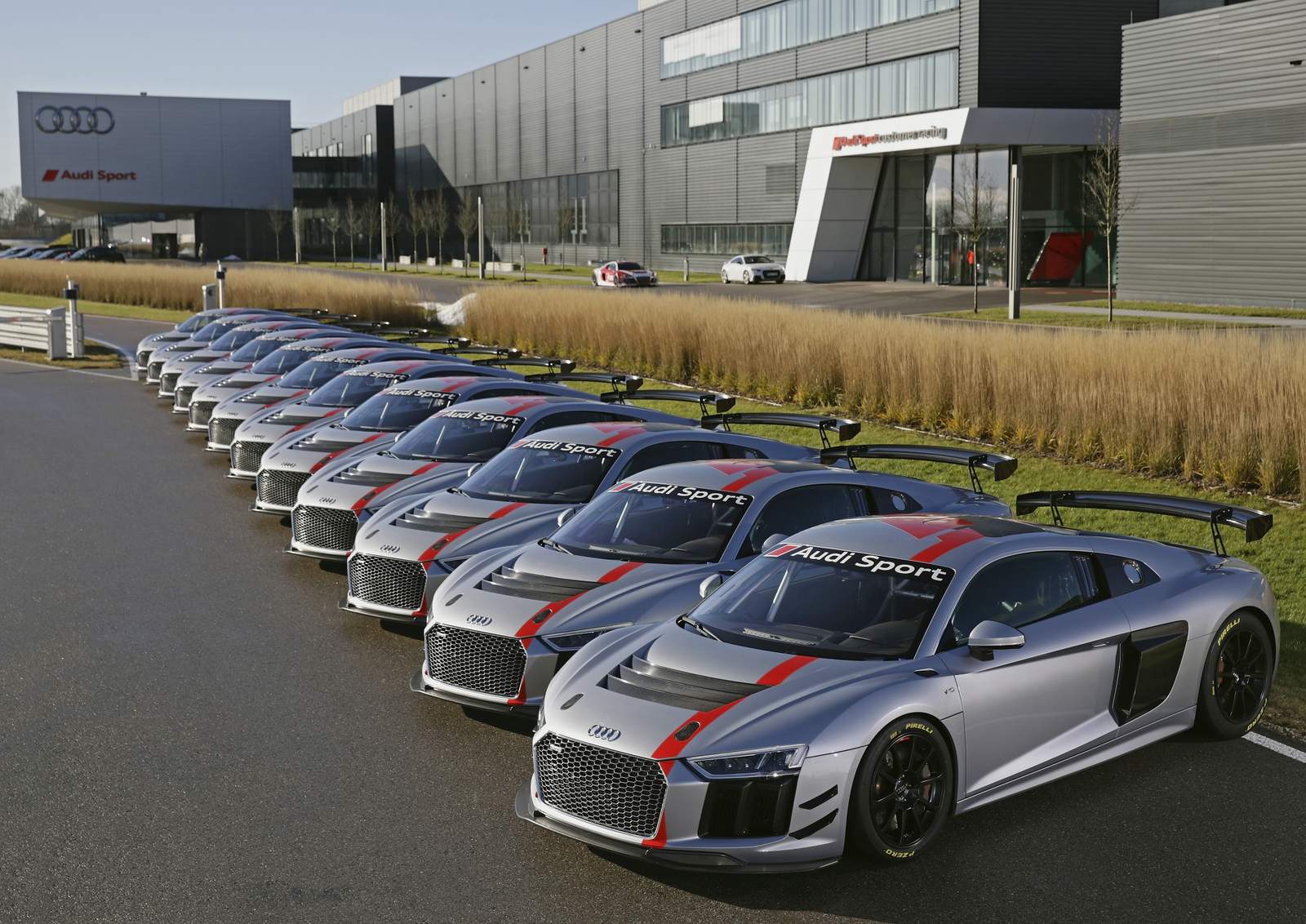 Audi R8 GT4: nascido para correr