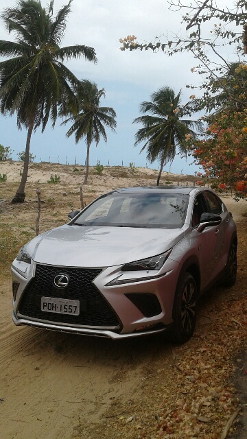 Lexus NX 300 Híbrido: o que era bom, ficou melhor!