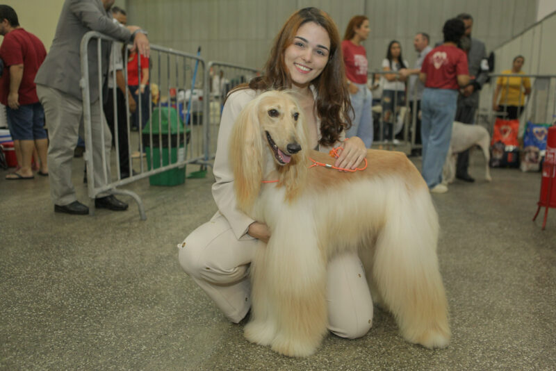 Kennel Clube - 1° Festival de Cães de 2023 aterrissa em Fortaleza