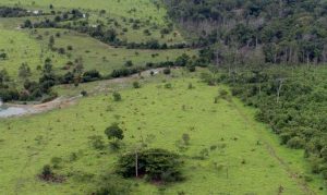 Projeto Rural Na Amazonia Pnud