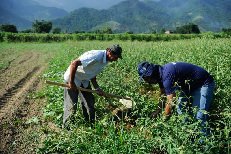 Agricultura Familiar Agência Brasil