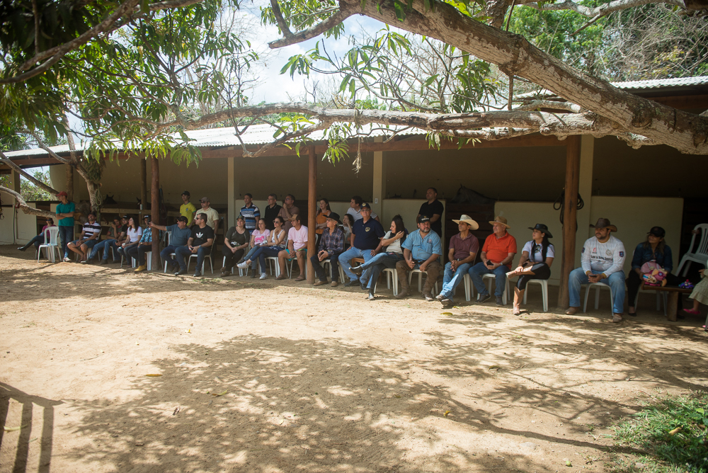 Escola De Cavaleiros (41)