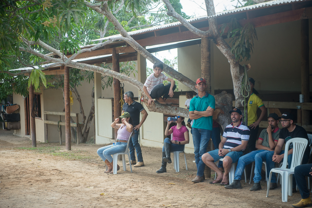 Escola De Cavaleiros (47)