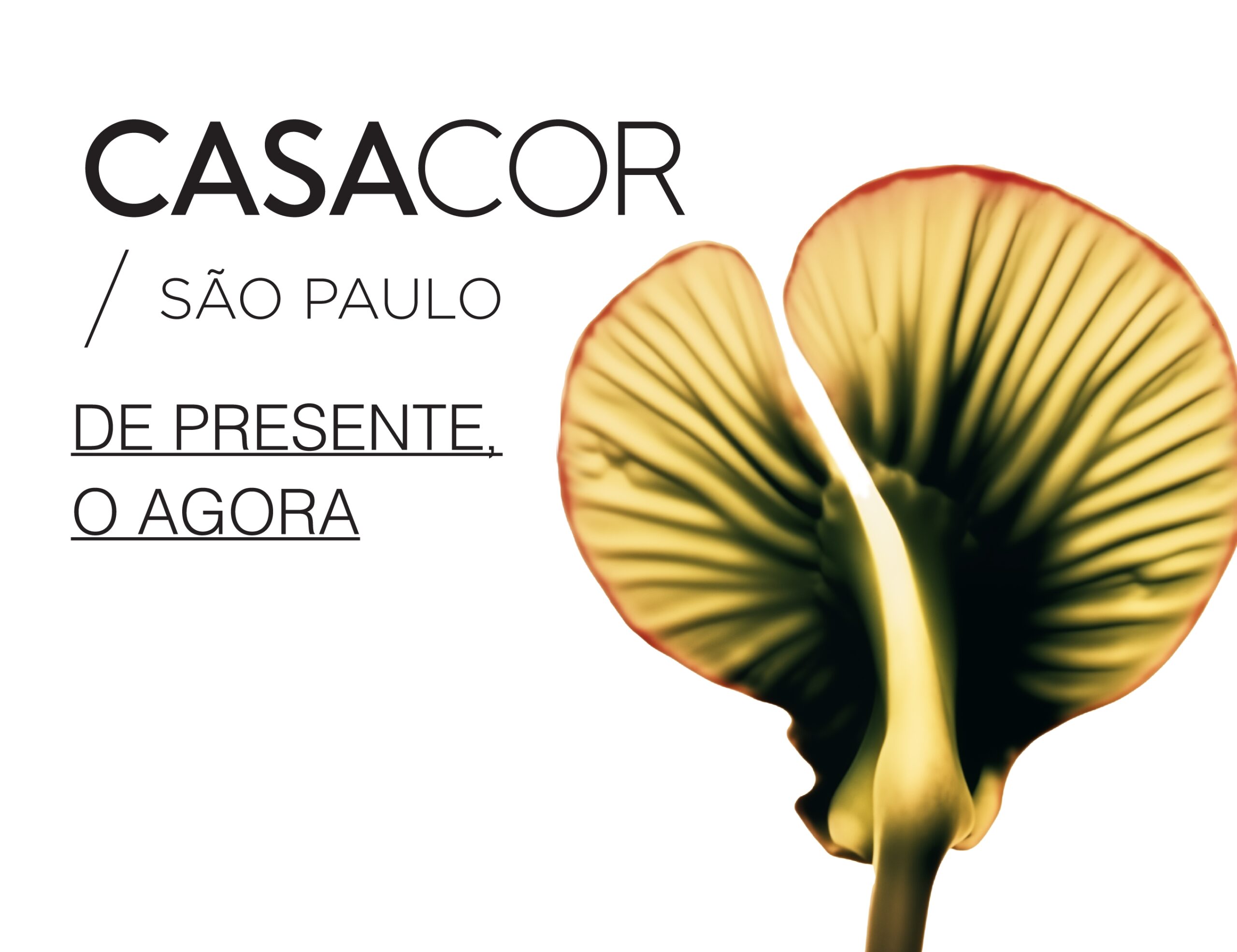 CASACOR São Paulo tem alteração de calendário