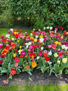 Moda Arquitetura Arte Rafa Gualberto De Férias Em Amsterdam Para Curtir O Festival Das Tulipas E Tudo O Que A Cidade Oferece Nessa Primavera. (7)