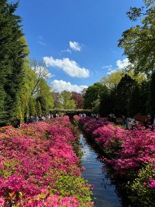 Moda Arquitetura Arte Rafa Gualberto De Férias Em Amsterdam Para Curtir O Festival Das Tulipas E Tudo O Que A Cidade Oferece Nessa Primavera. (8)