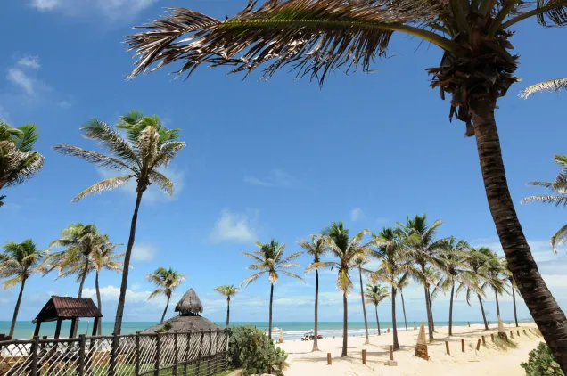 Praia De Porto Das Dunas, Em Aquiraz (madalena Leles)