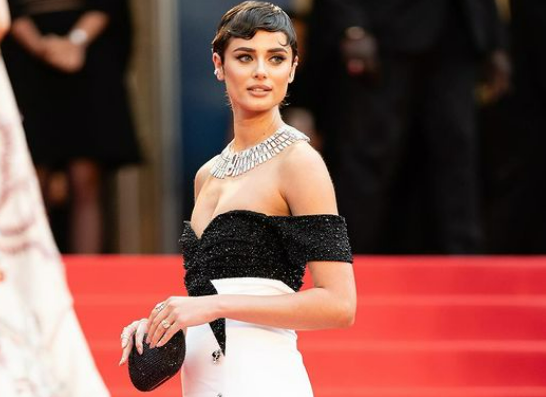 Confira alguns looks de celebridade no tapete vermelho do Festival de Cannes 2024