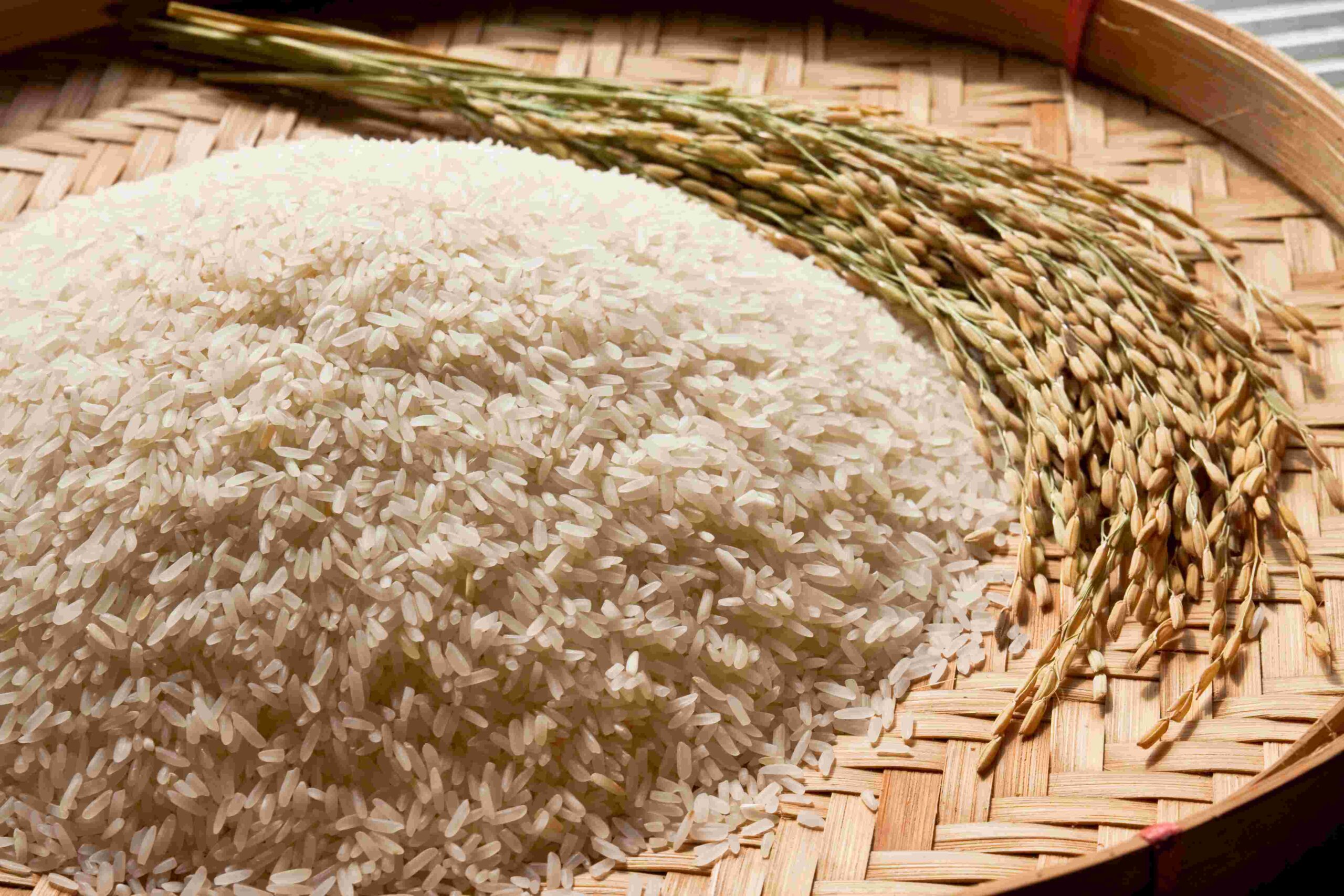 Ministro da Agricultura promete novo e mais eficiente leilão do arroz