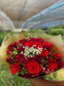 Floricultura, Flores, Rosas