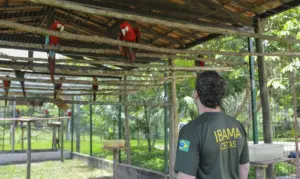 Servidores Federais Ambientais Iniciam Greve Ibama Foto Ibama