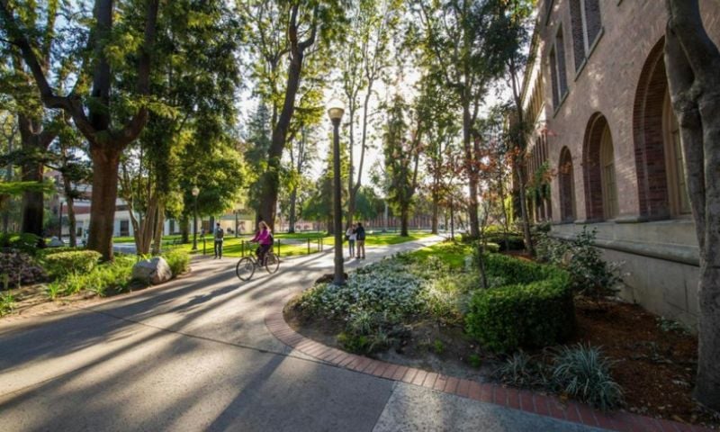 Universidade Do Sul Da California