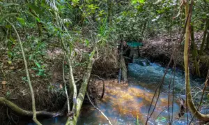 Água, Riacho, Natureza Foto Agência Brasil