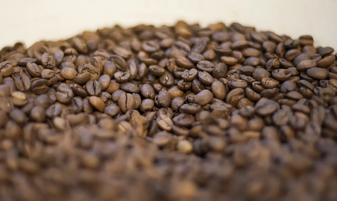 Exportação de café brasileiro alcança recorde de 47,3 milhões de sacas 