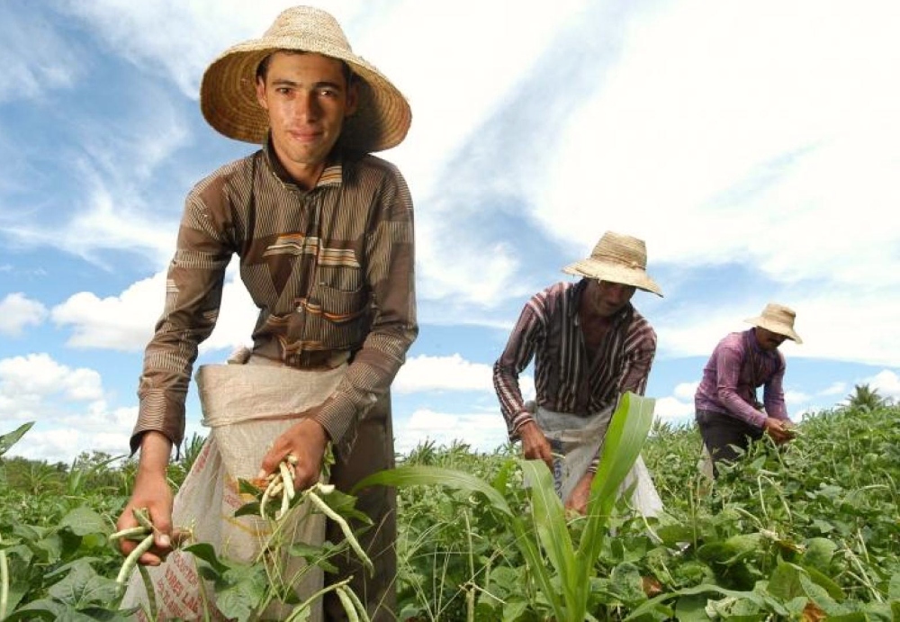 Valor contratado na agricultura familiar junto ao BNB dobra em quatro anos