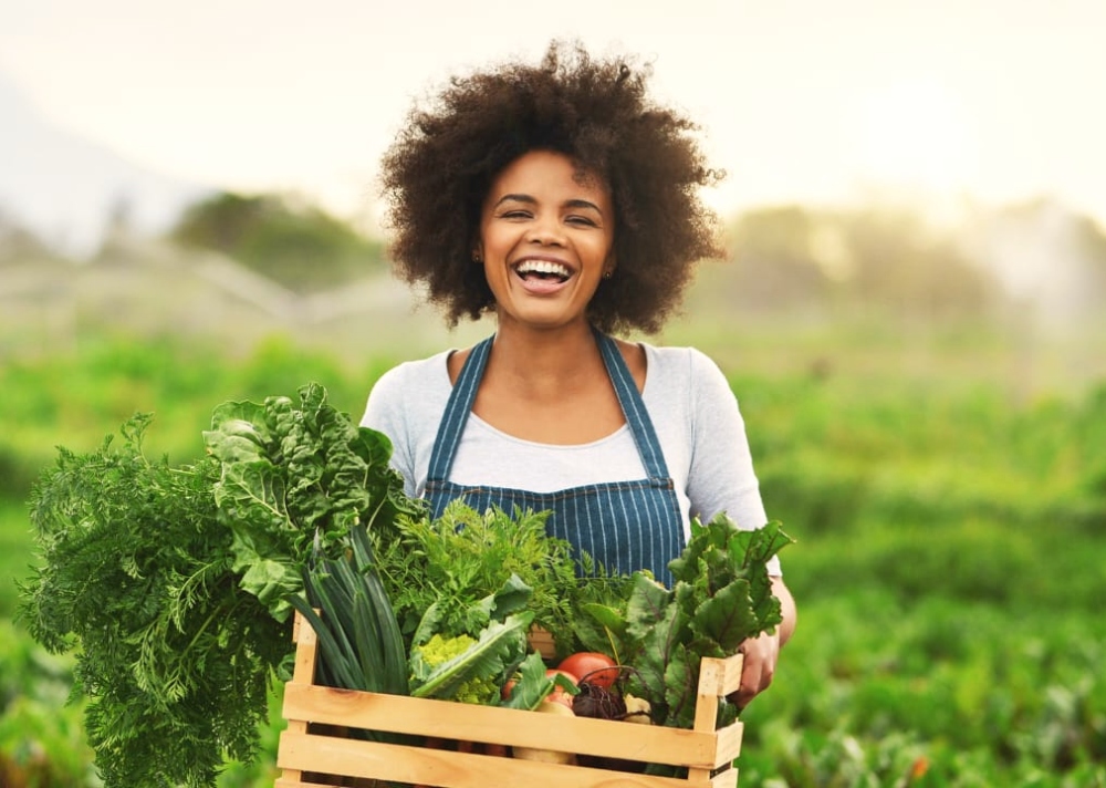 Projetos de agricultura sustentável no Ceará podem concorrer a até R$ 900 mil