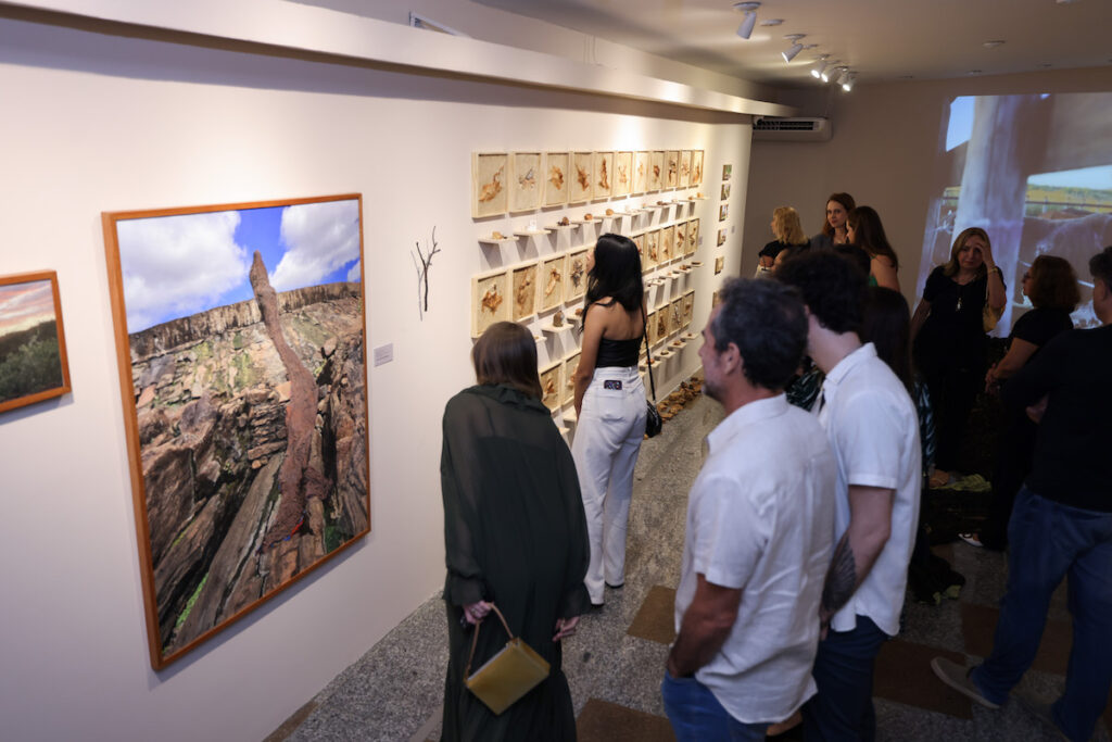 Exposições Na Unifor Teologia Natural E Nascente 47