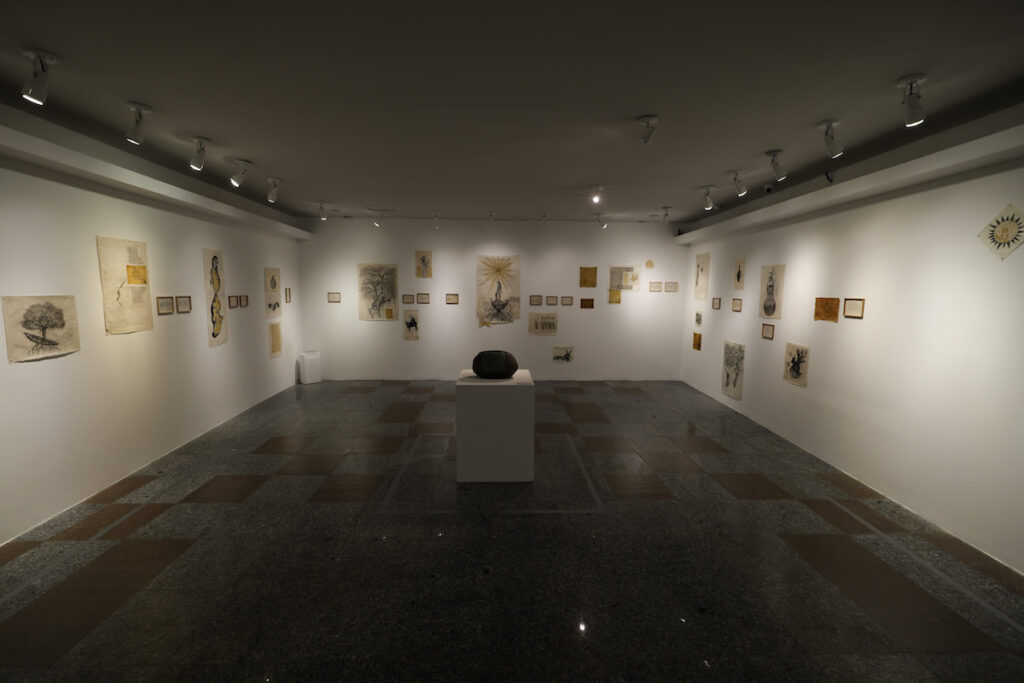 Exposições Na Unifor Teologia Natural E Nascente 8