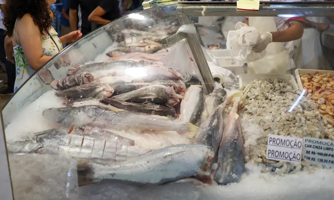 Semana do pescado pretende aumentar consumo do produto em 30%