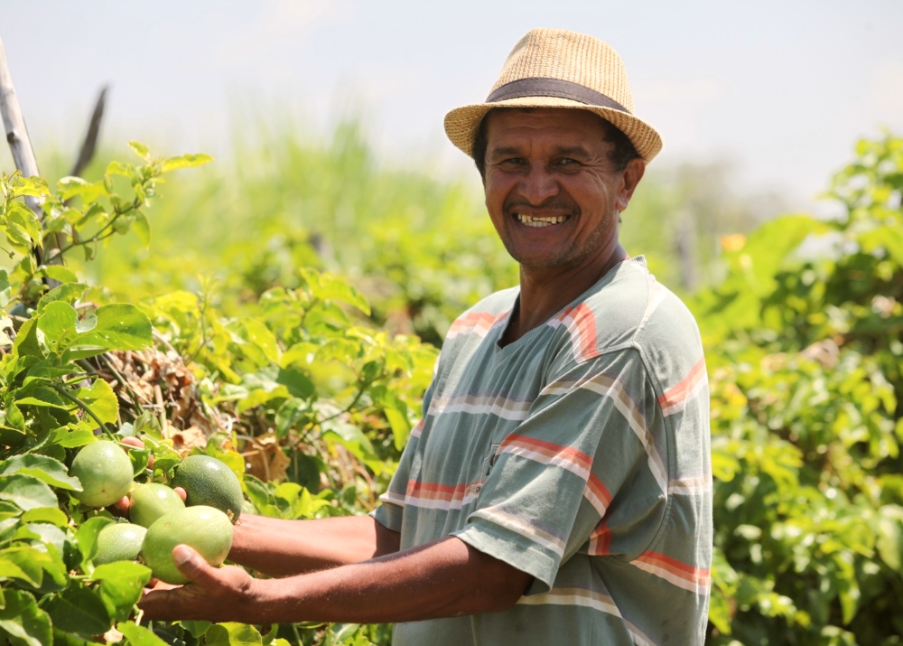 Agricultura puxa a expansão do PIB do Ceará com alta de 32,52% no 2TRI24