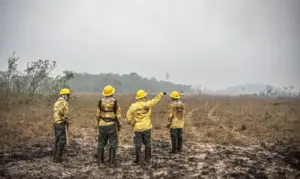 Queimadas, Ibama Foto Ibama