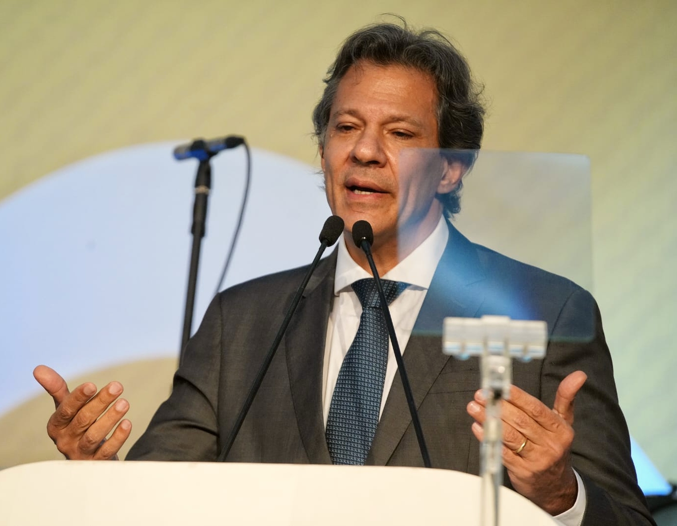 Haddad lançará plataforma de investimentos verdes, em Washington