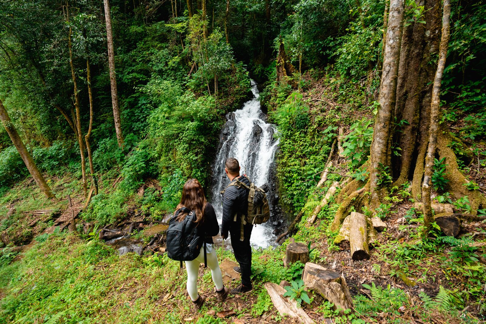 Large Mount Totumas La Amistad International Park Chiriqui #769 Province