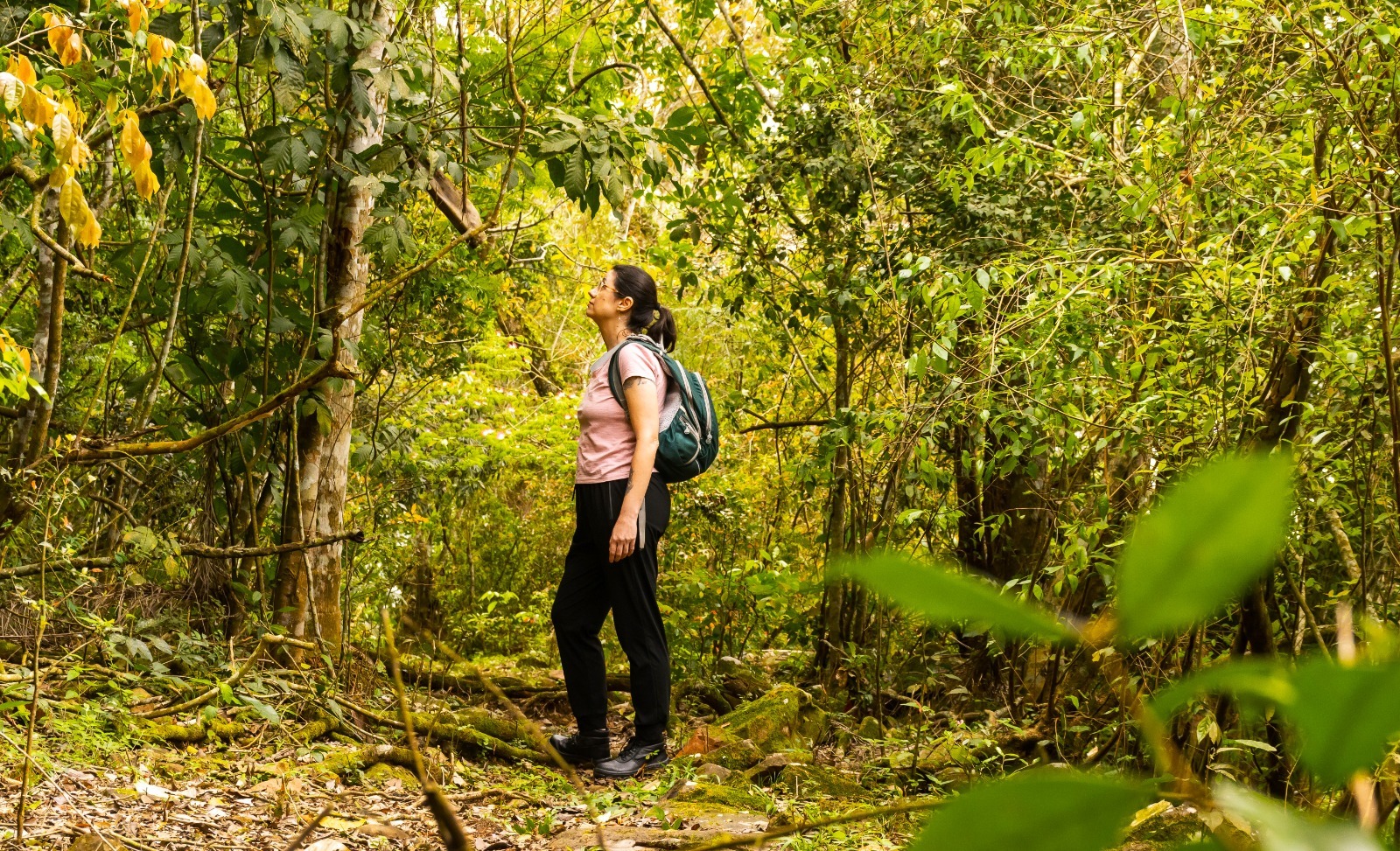 Parque Nacional do Iguaçu lança trilha Ytepopo às margens do rio Iguaçu