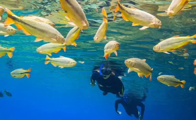 Brasil se destaca em práticas de turismo sustentável com 14 destinos reconhecidos