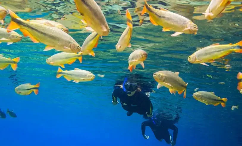 Brasil se destaca em práticas de turismo sustentável com 14 destinos reconhecidos