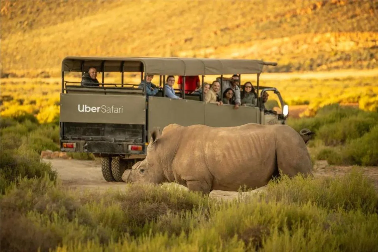 Uber disponibiliza serviço de safári na África do Sul