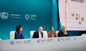 Brasil é Segundo País A Entregar Meta De Emissões Na Cop29 Foto Cadu Gomes Cpr