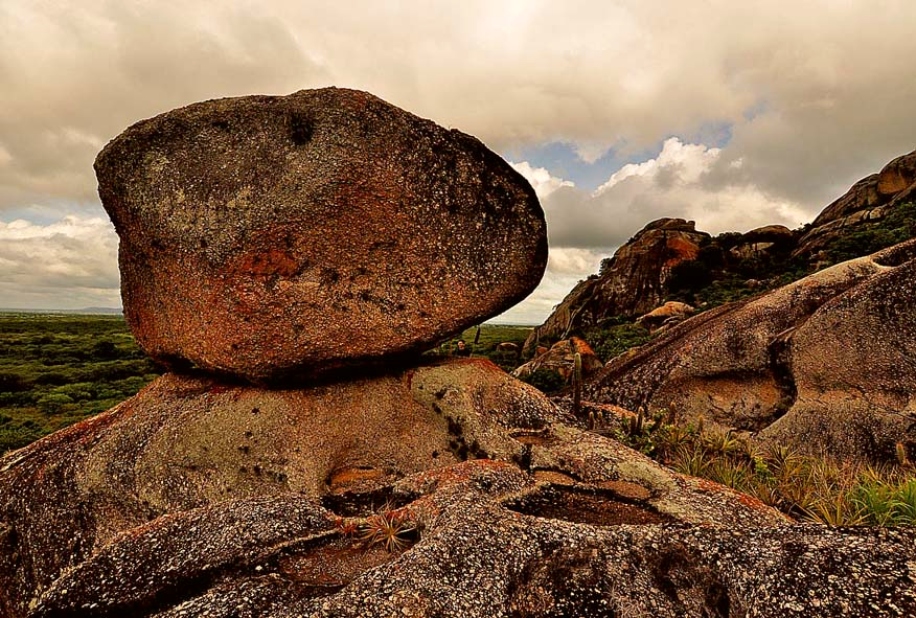 Sistema Fecomércio realiza exposição da Chapada do Araripe em Brasília