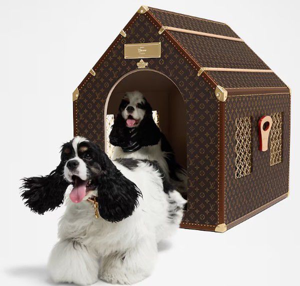 Louis Vuitton lança coleção voltada para os Pets