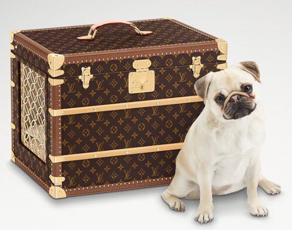 Louis Vuitton lança coleção voltada para os Pets