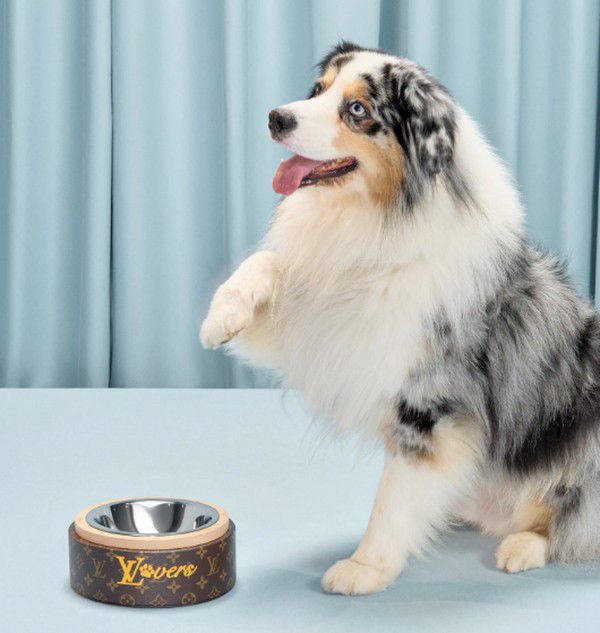 Louis Vuitton lança coleção voltada para os Pets