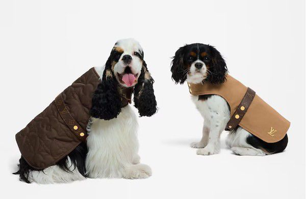 Louis Vuitton lança coleção voltada para os Pets