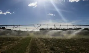 Agricultura, Agrícola, Plantação, Colheita, Irrigação Foto Agência Brasil