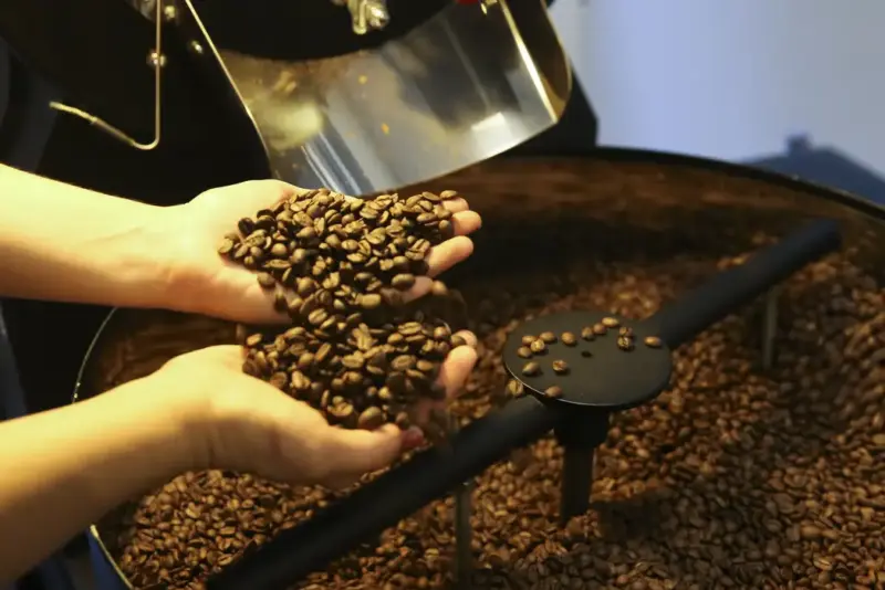 Café, Grãos De Café Foto Agência Brasil