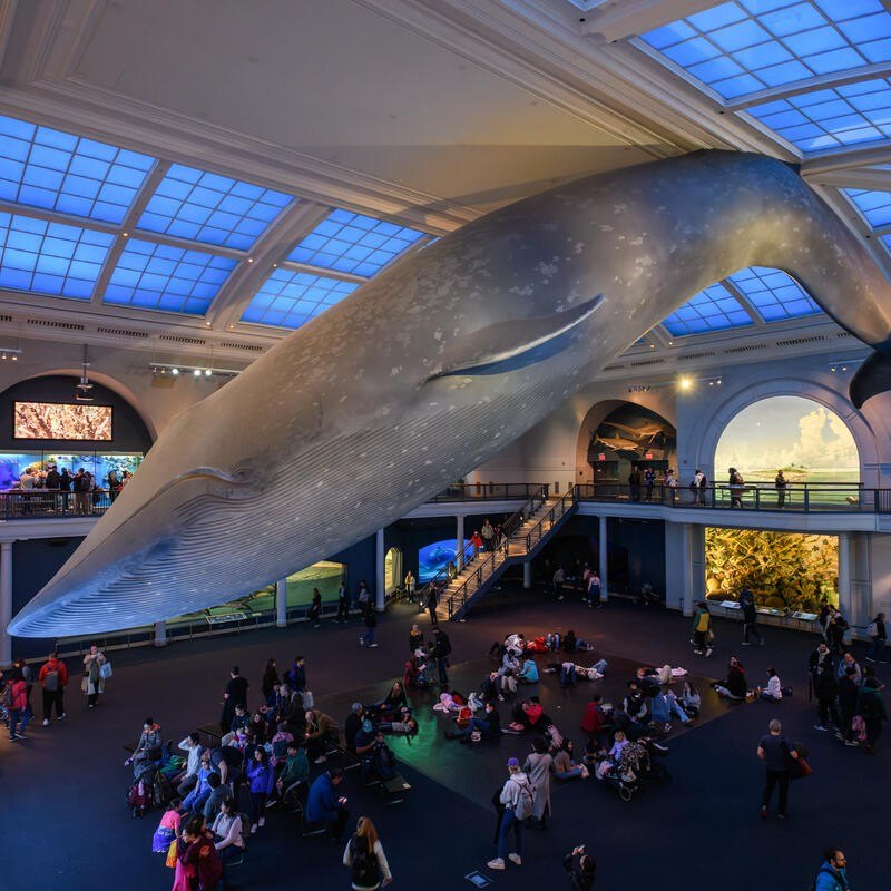 Museu Americano De História Natural