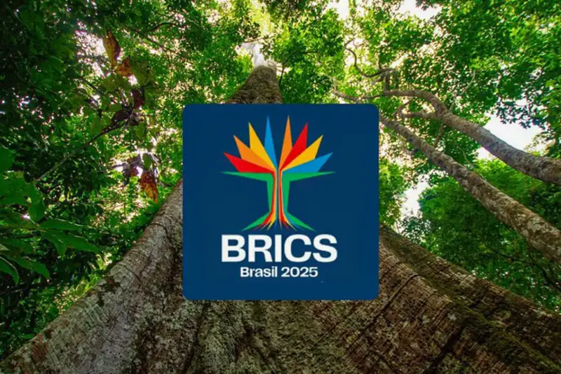 Identidade Visual Do Brics Brasil