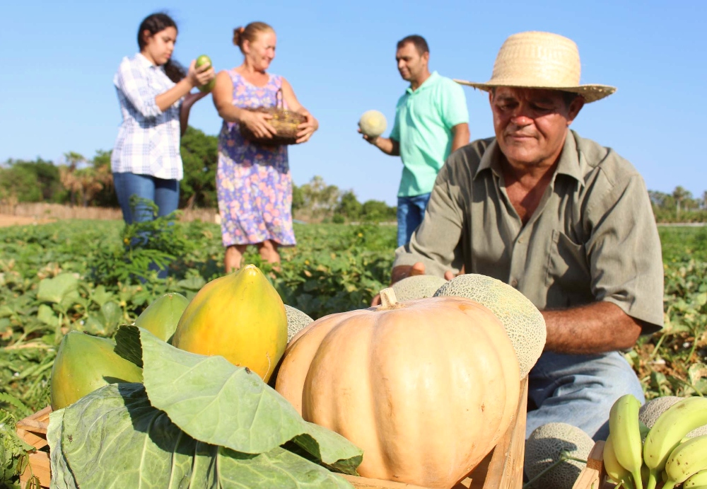 Desenrola Rural pode beneficiar mais de 360 mil agricultores atendidos pelo BNB