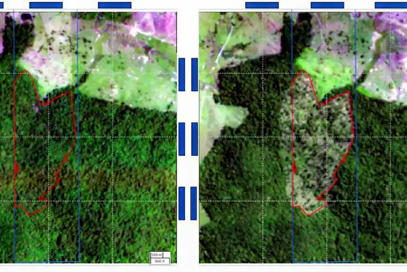 Bndes Usa Imagens De Satélite Para Barrar Empréstimo A Desmatadores Floresta