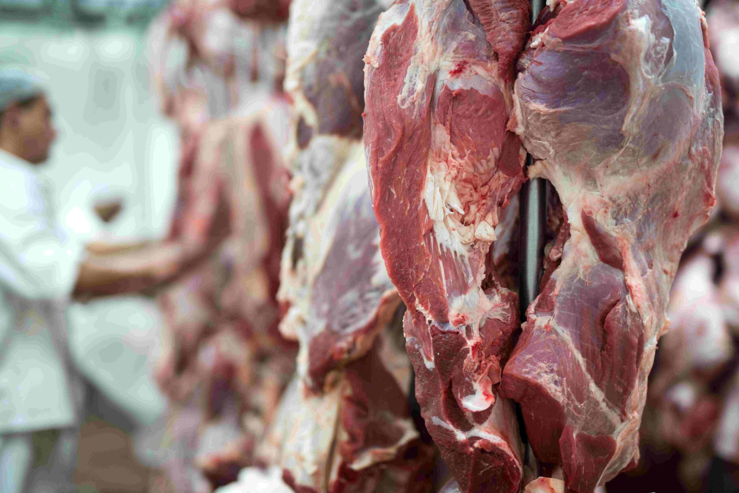 Butão abre mercado para carne bovina brasileira