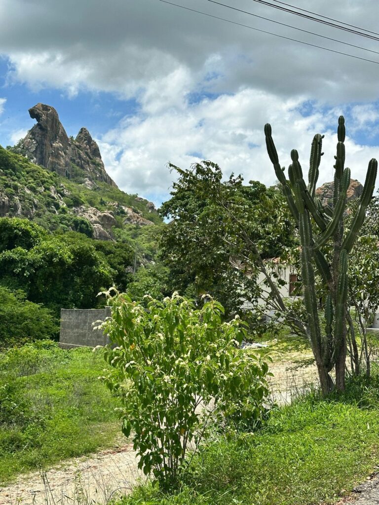 Pedra Da Galinha Choca Quixadá