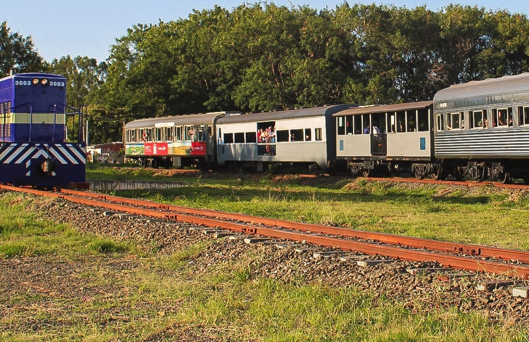 Trem da República estreia primeiro Carnaval a bordo de um vagão no Brasil