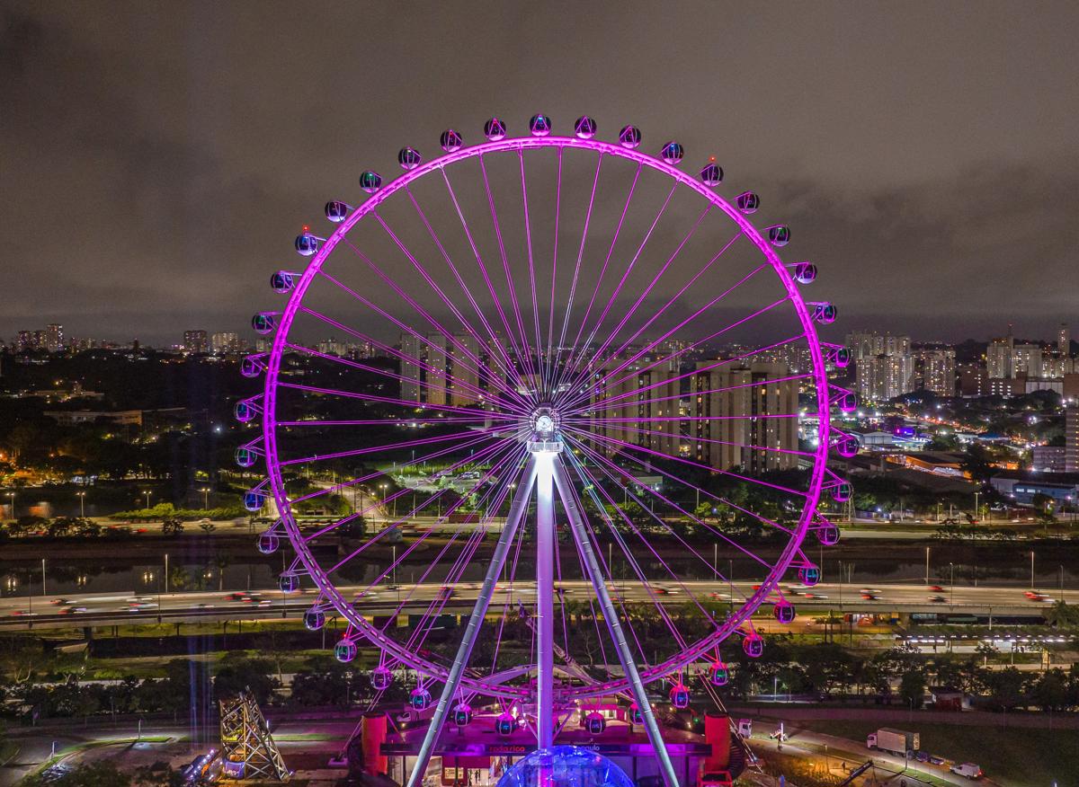 Roda gigante Roda Rico transforma chá revelação em espetáculo iluminado